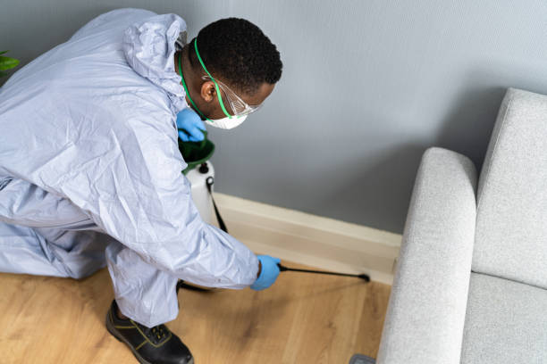 Best Termite Inspection and Treatment  in Peoria Heights, IL